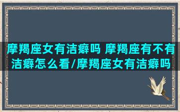 摩羯座女有洁癖吗 摩羯座有不有洁癖怎么看/摩羯座女有洁癖吗 摩羯座有不有洁癖怎么看-我的网站